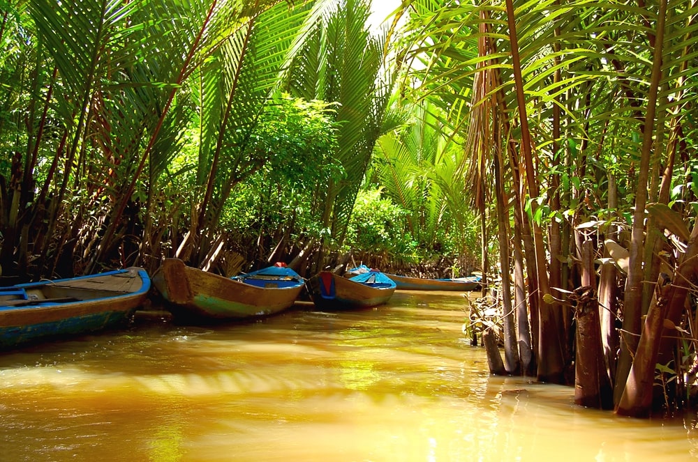 Mekong_Delta_Photo_1.jpg