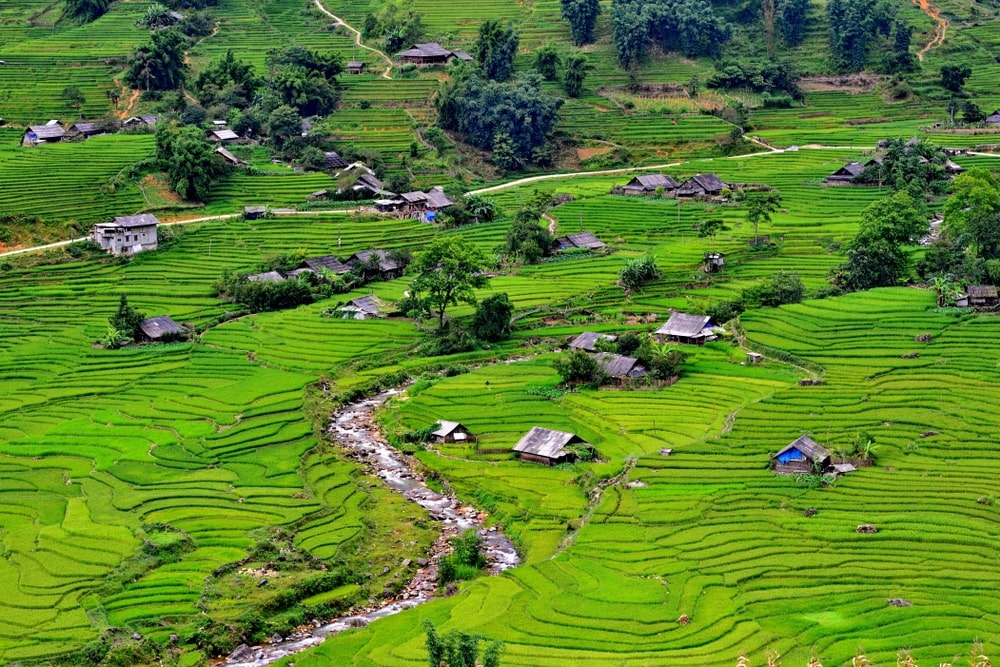 sapa_24.jpg