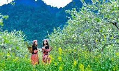MAI CHAU TOUR 3 DAYS 2 NIGHTS - BIKING & HIKING