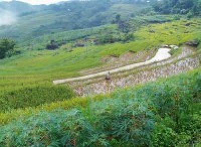 PU LUONG TREKKING IN 3 DAYS - STAY AT PU LUONG RETREAT