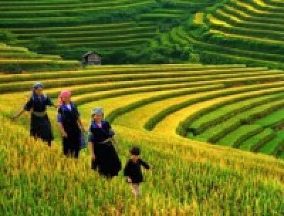 SAPA TREKKING HOMESTAY TOUR
