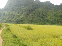 PU LUONG TREKKING IN 2 DAYS