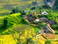 SAPA HOMESTAY TOUR