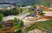 thumb_200x200_cat_cat_village.jpg