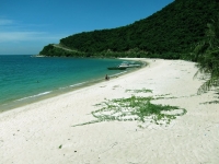 thumb_200x200_chamisland__6.jpg