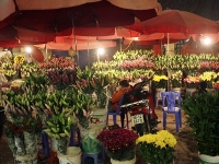 thumb_200x200_cho_hoa_quang_an.jpg
