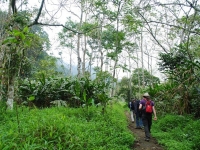 thumb_200x200_cucphuongnatrionalpark__5.jpg