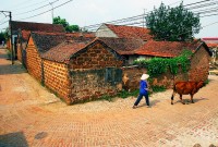 thumb_200x200_duong_lam.jpg