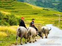 thumb_200x200_ethnicpeople2.jpg