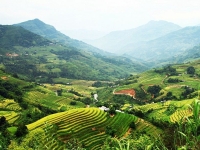 thumb_200x200_hagiang_4.jpg