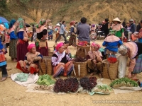 thumb_200x200_localmarketinsapa1.jpg