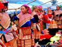 thumb_200x200_localmarketinsapa4.jpg