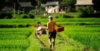 thumb_200x200_mai_chau_2.jpg