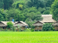 thumb_200x200_maichau2.jpg