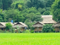 thumb_200x200_maichau_6.jpg