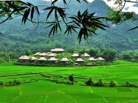 thumb_200x200_maichau_7.jpg