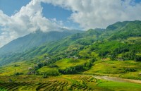 thumb_200x200_muong_hoa_2.jpg