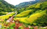 thumb_200x200_muong_hoa_valley1.jpg