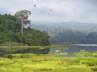 thumb_200x200_namcattiennationalpark__1.jpg