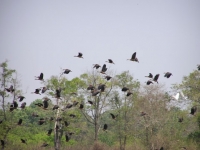 thumb_200x200_namcattiennationalpark__6.jpg