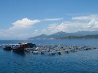 thumb_200x200_nhatrang_7.jpg