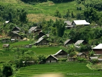 thumb_200x200_sapa1.jpg