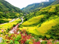 thumb_200x200_sapa6.jpg