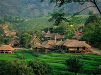 thumb_200x200_sapa_6.jpg