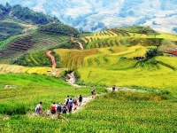 thumb_200x200_ta_giang_phin_valley.jpg