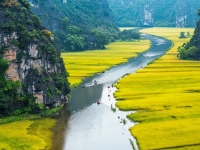 thumb_200x200_tamcocninhbinh.jpg