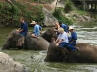 thumb_200x200_thai_elephant_conservation_center.jpg