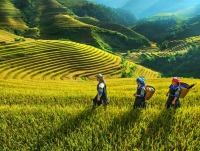 thumb_200x200_top_recommended_tours_3.jpg