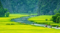 thumb_200x200_trang_an_ninh_binh.jpg