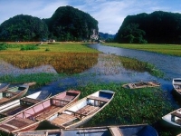thumb_200x200_vanlong_7.jpg