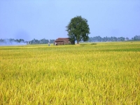 thumb_200x200_vinh_long.jpg