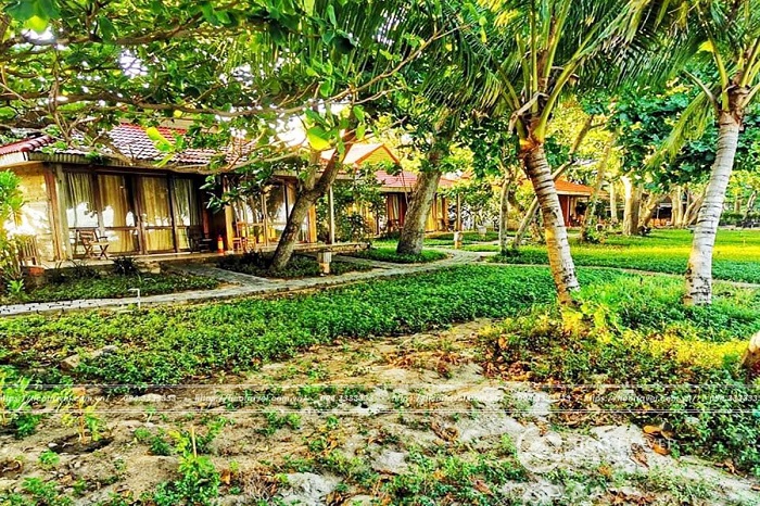 tan-son-nhat-con-dao-resort-1