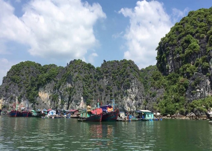lang chai cai beo