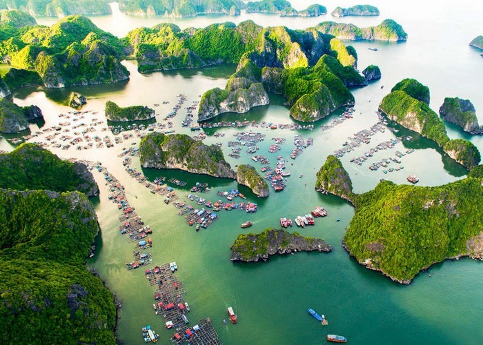 vinh lan ha1