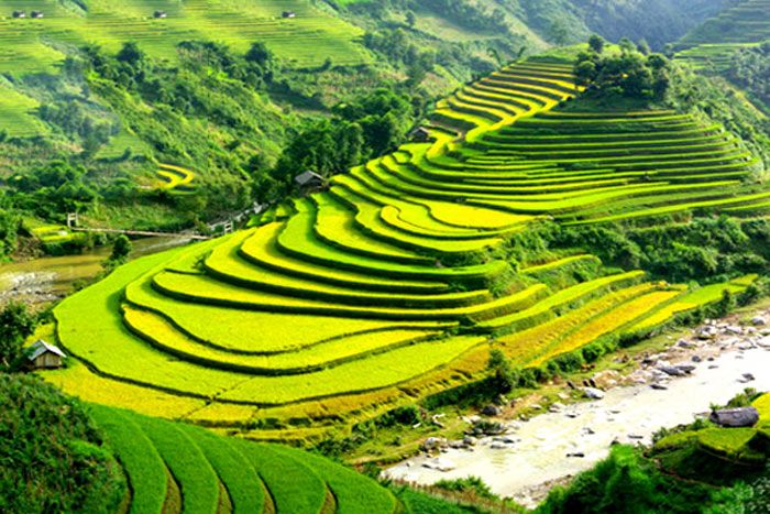 Ruong bYc thang bYn cat Cat