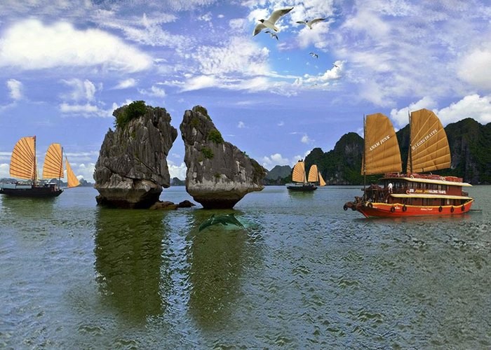 hon trong mai 5