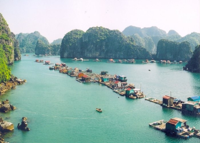 lang chai cuu van 6
