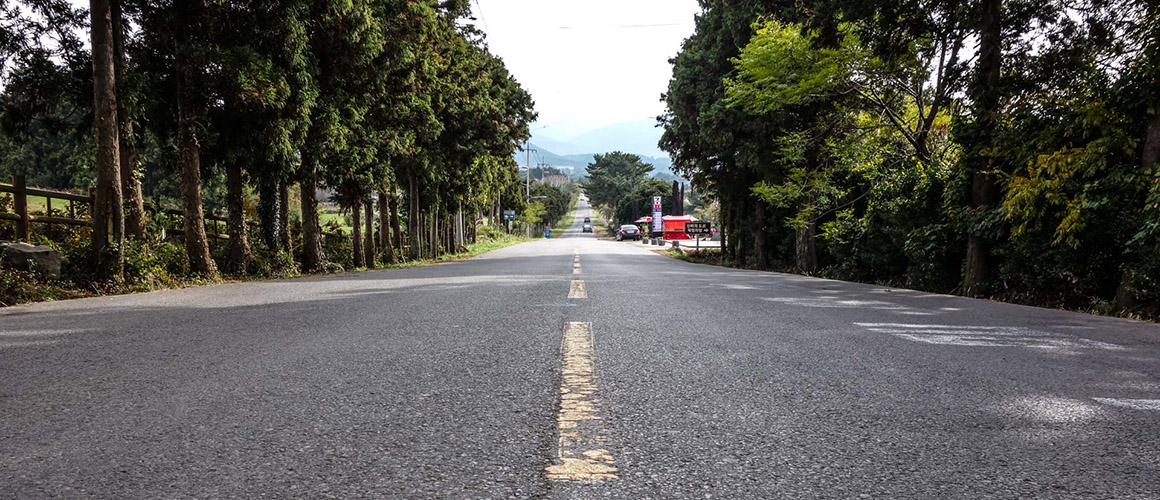 HÀN QUỐC: SEOUL - JEJU ( 6 ngày, KS 4*)