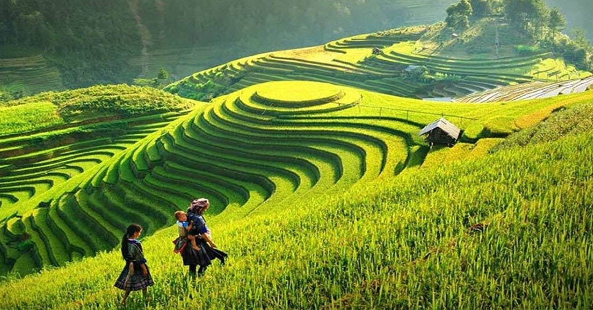 MÙ CANG CHẢI - TÚ LỆ 3 NGÀY 2 ĐÊM
