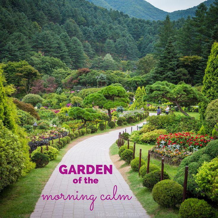 HÀN QUỐC: SEOUL - KHU VƯỜN BAN MAI MORNING CALM - HÁI TRÁI CÂY - 5N4Đ
