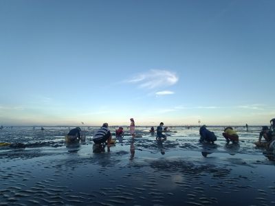 Gò Công - khám phá vùng đất hiền hòa - 1 ngày 