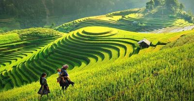 MÙ CANG CHẢI - TÚ LỆ 3 NGÀY 2 ĐÊM