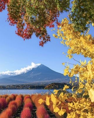 NHẬT BẢN: NARITA – TOKYO – YAMANASHI - 5N4Đ