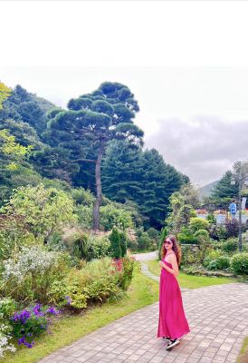 HÀN QUỐC: SEOUL - KHU VƯỜN BAN MAI MORNING CALM - HÁI TRÁI CÂY - 5N4Đ