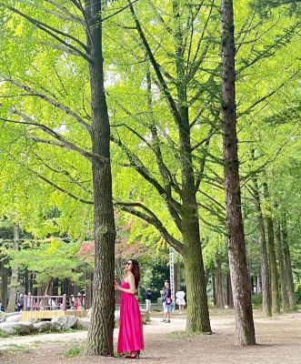 HÀN QUỐC: BUSAN - SEOUL - NAMI ISLAND - 5N4Đ