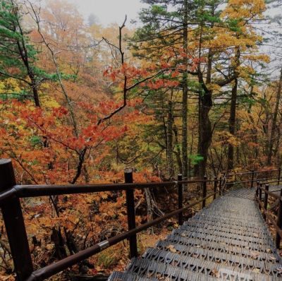 HÀN QUỐC: SEOUL - NAMI - NAMSAN - 5N4Đ